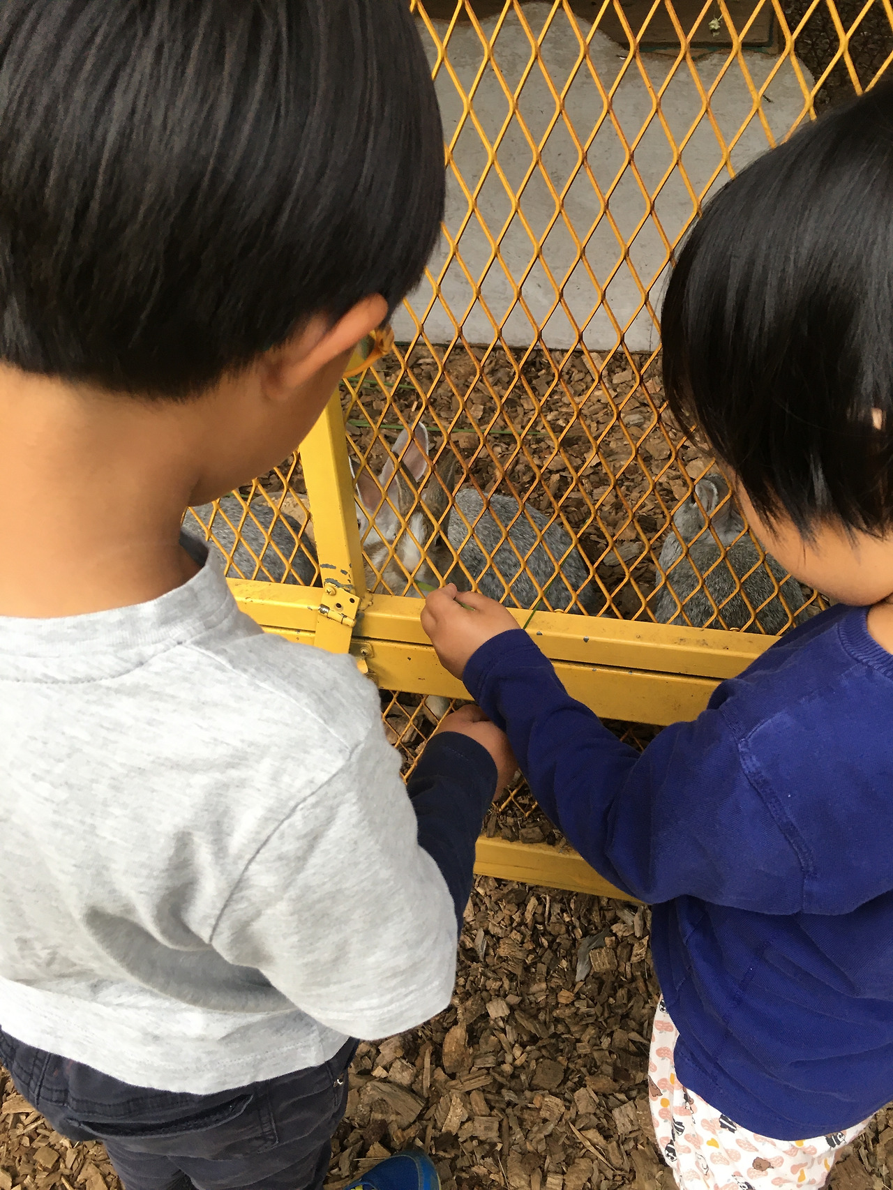 2019-10-22 16.34.28.jpg