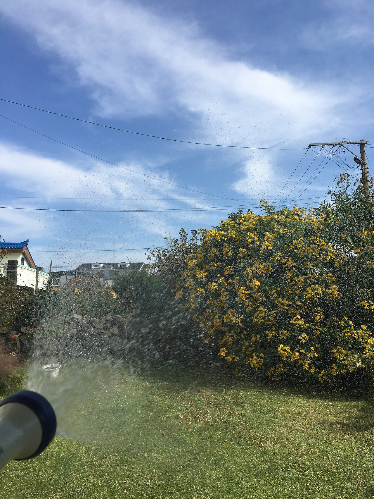 2019-10-25 11.53.40.jpg