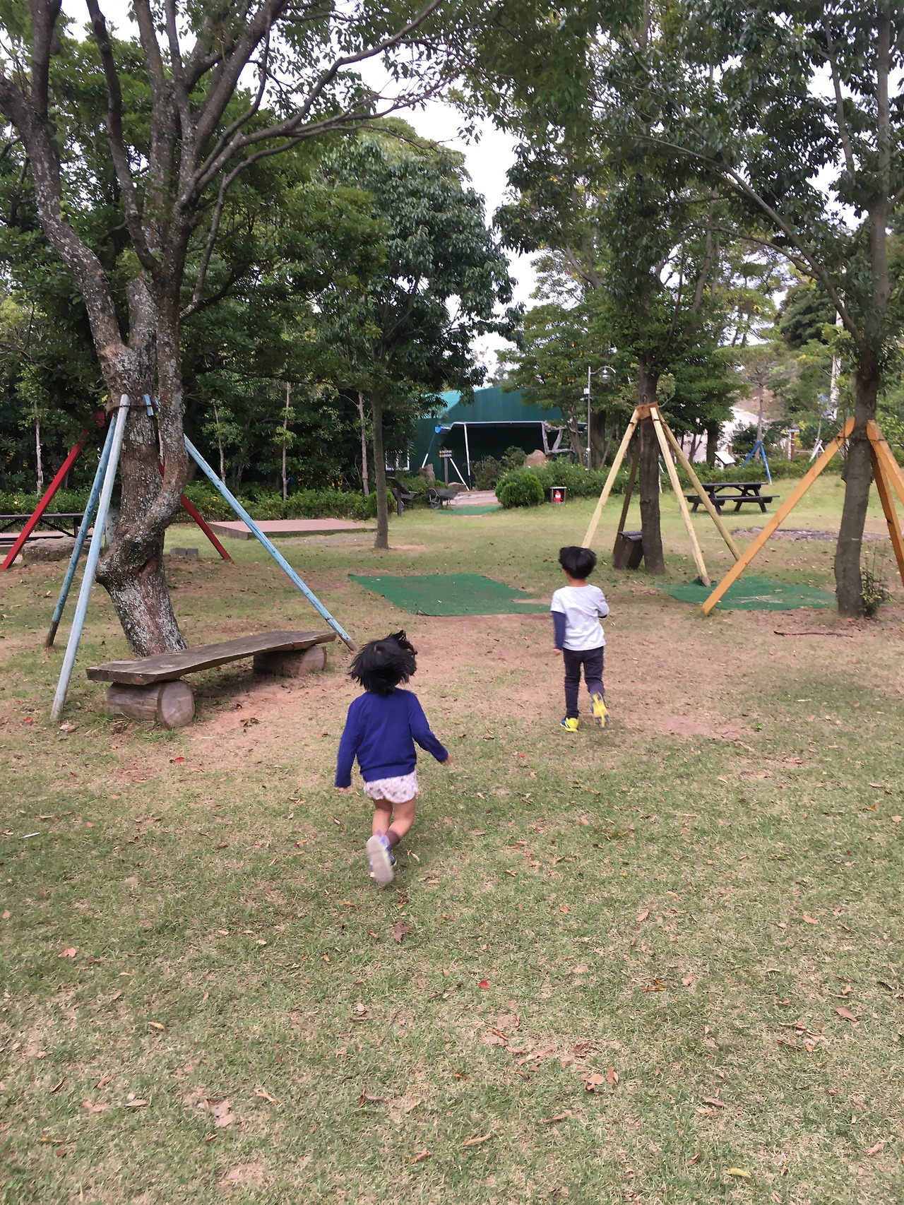 2019-10-22 16.31.23-1.jpg