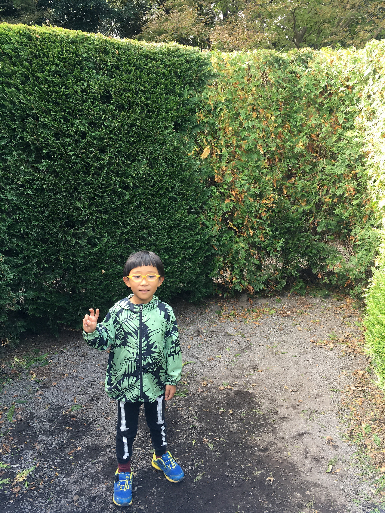 2019-10-26 14.06.19.jpg