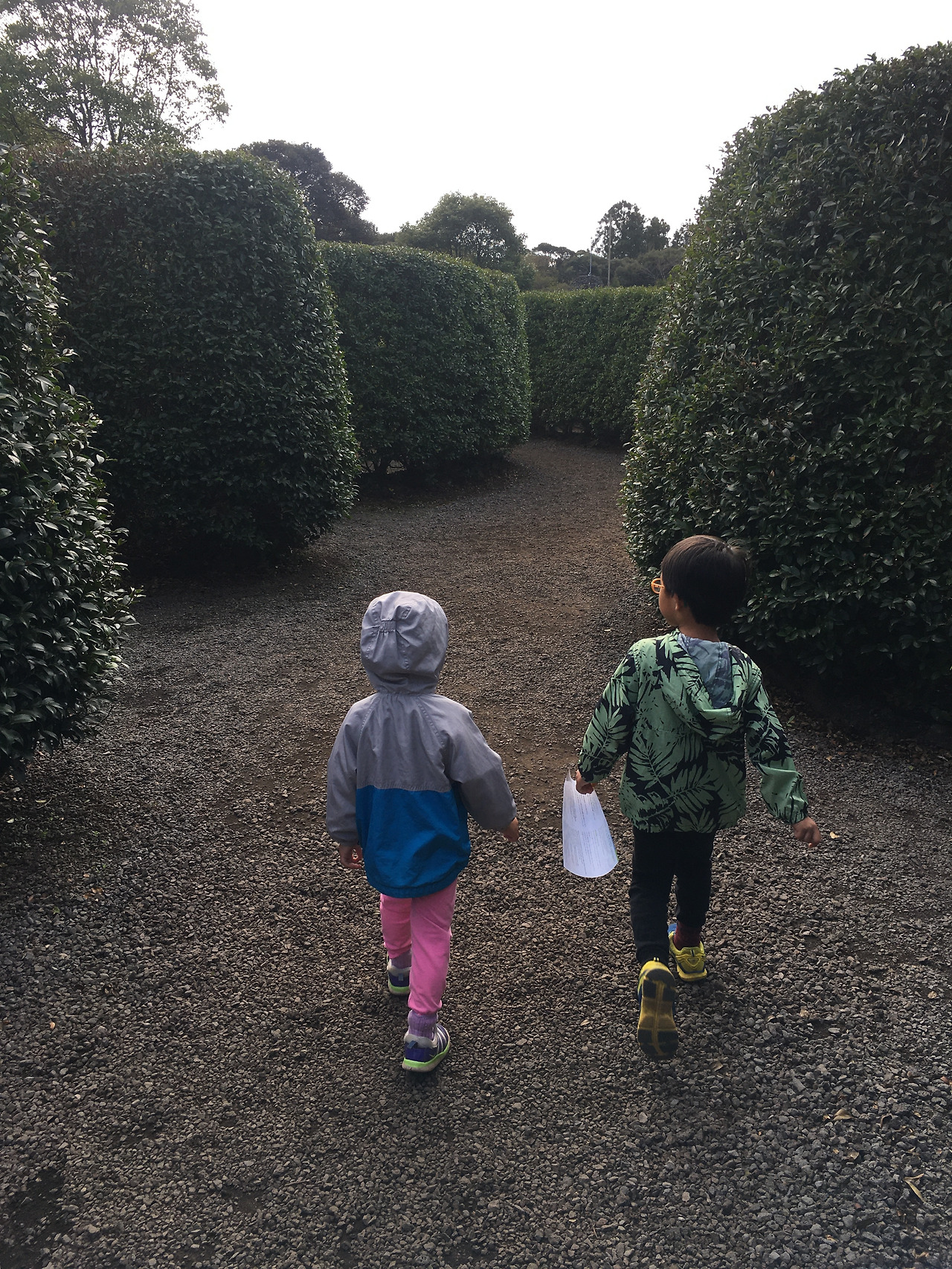 2019-10-26 14.19.53.jpg