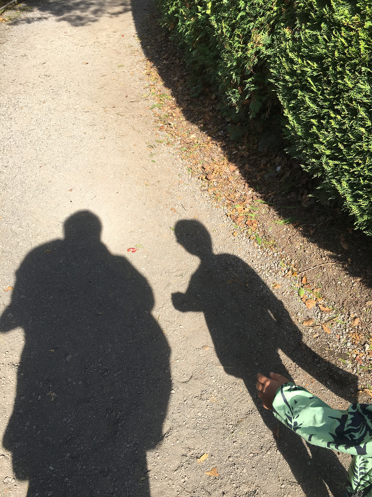 2019-10-26 14.13.51.jpg