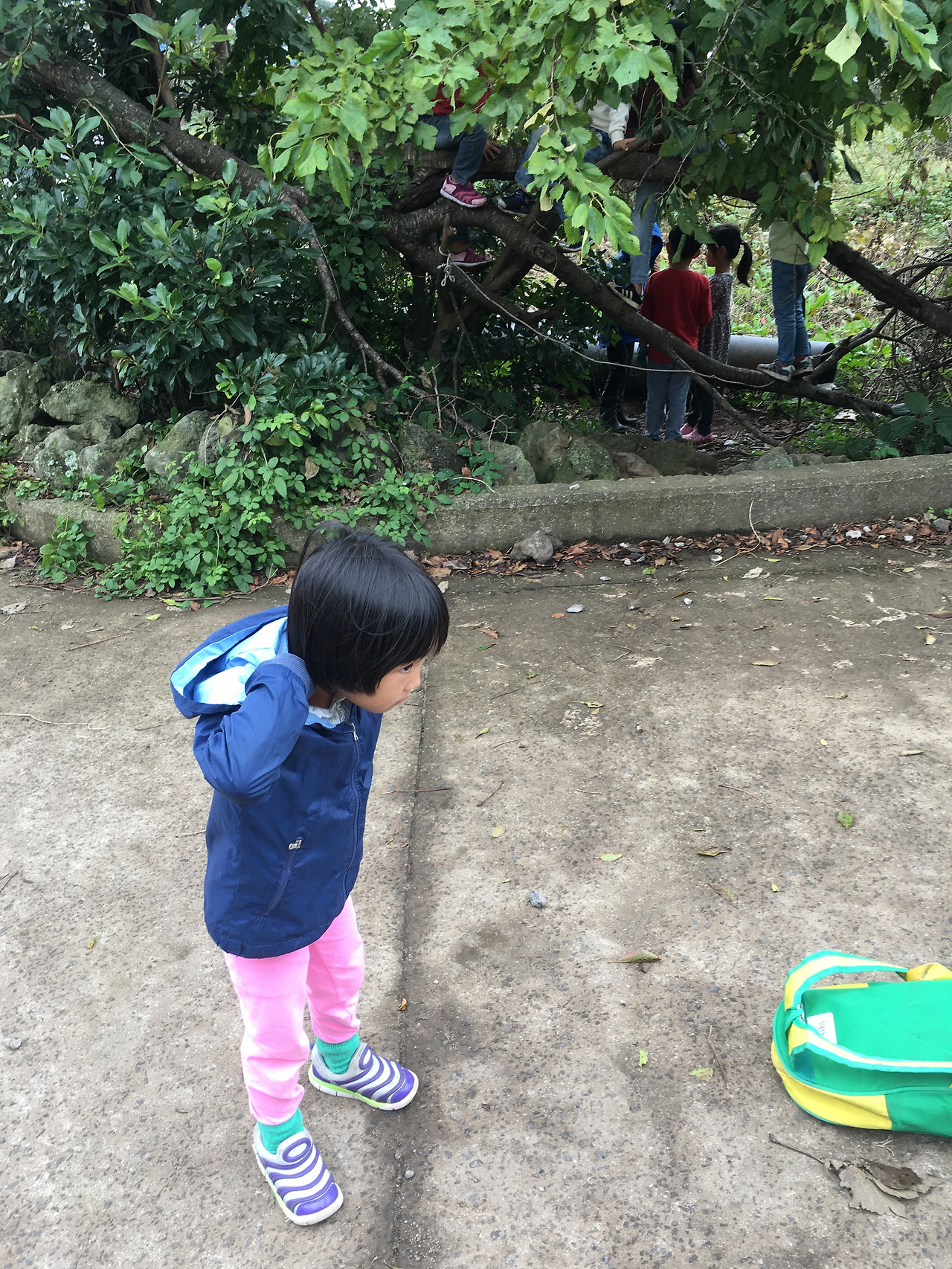 2019-10-24 10.55.11.jpg