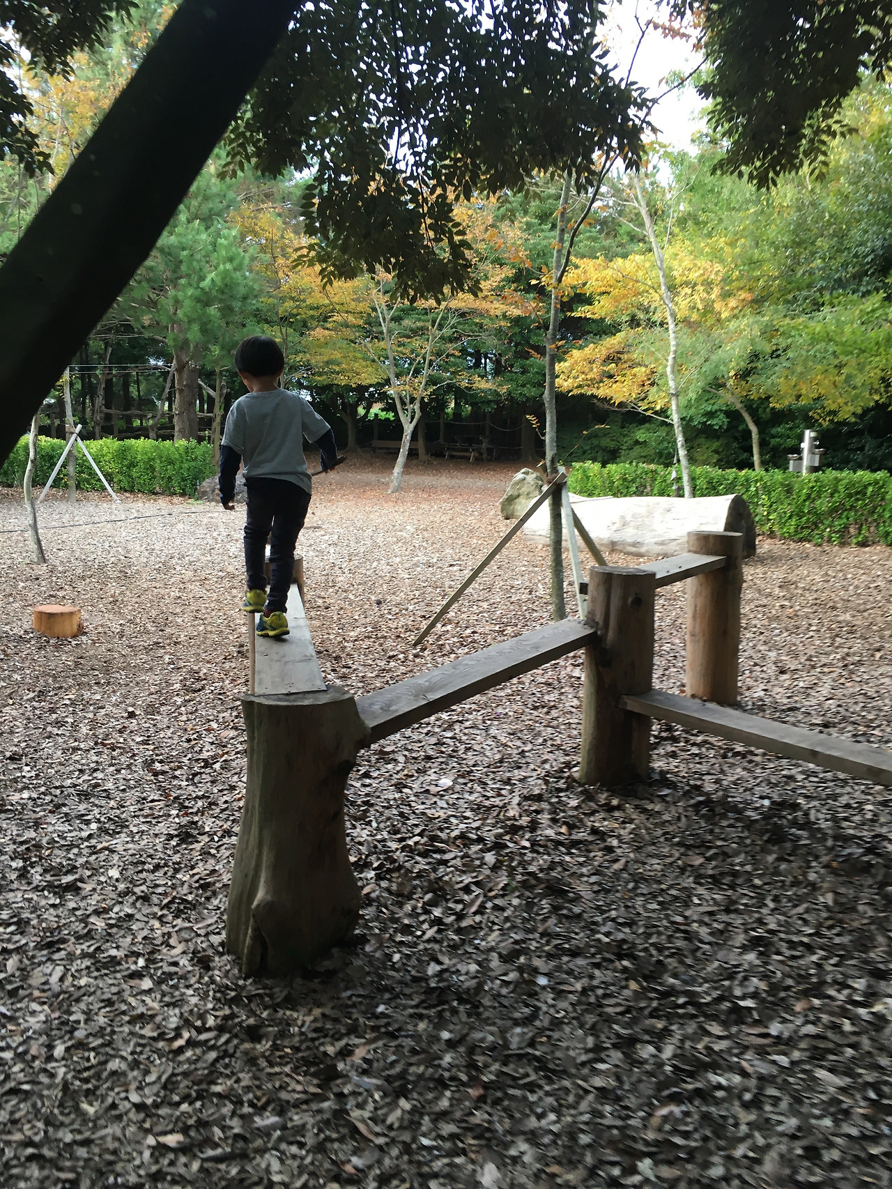 2019-10-22 17.21.18.jpg