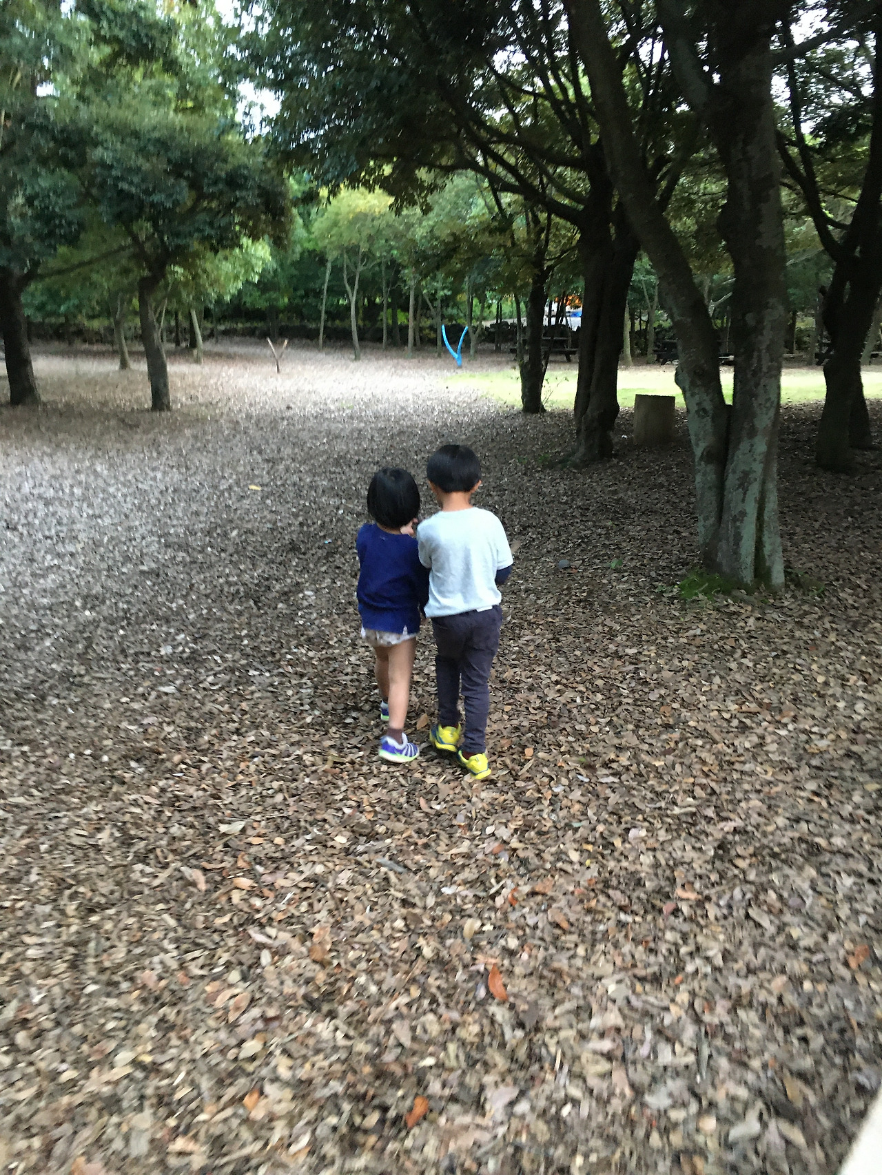 2019-10-22 17.40.53.jpg