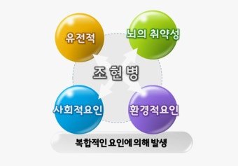 카지노 게임 사이트