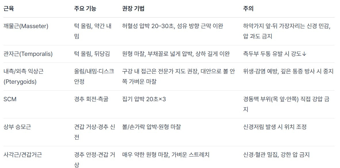 근육 기능 기법 요약표.jpg