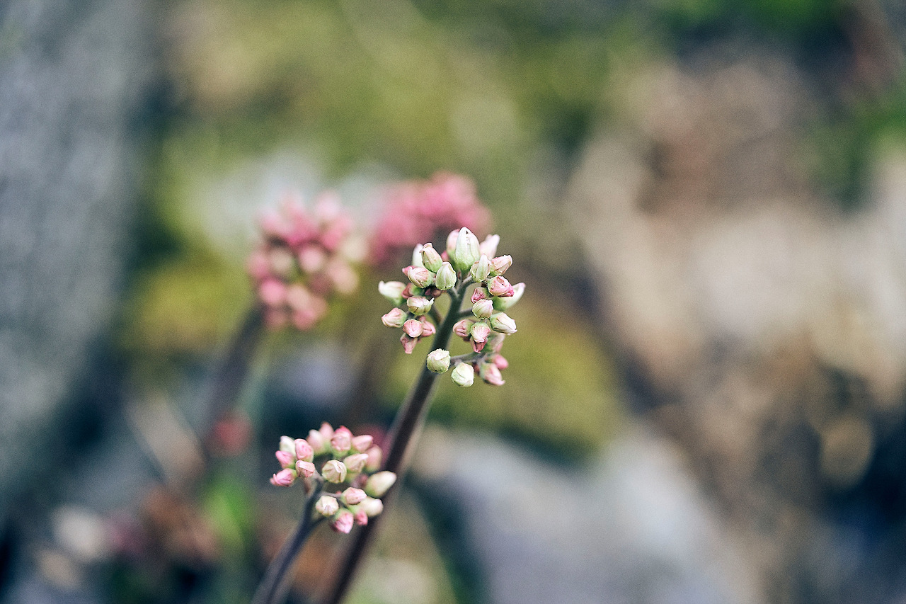 4월 일상 보정_181.jpg