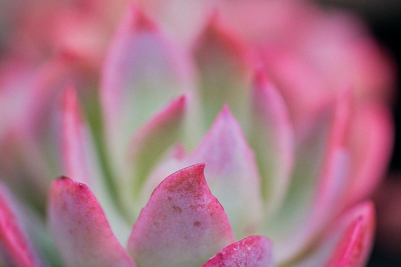 4월 일상 보정_197.jpg