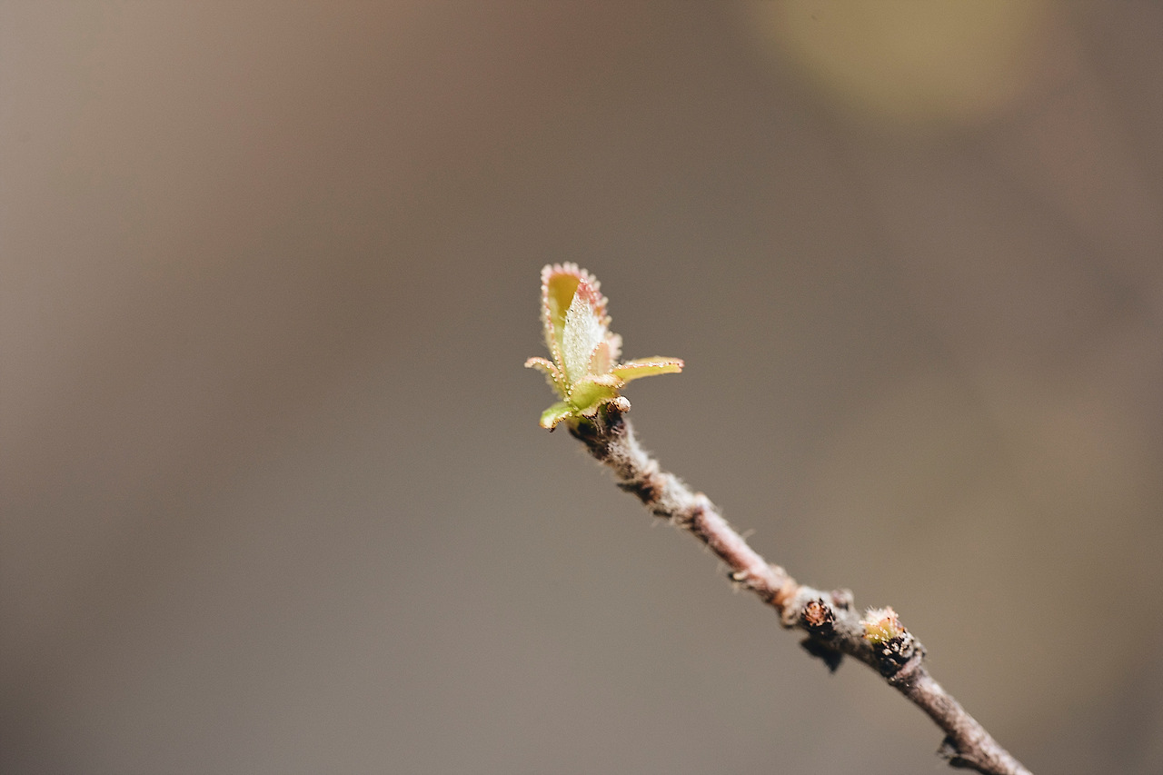 4월 일상 보정_195.jpg