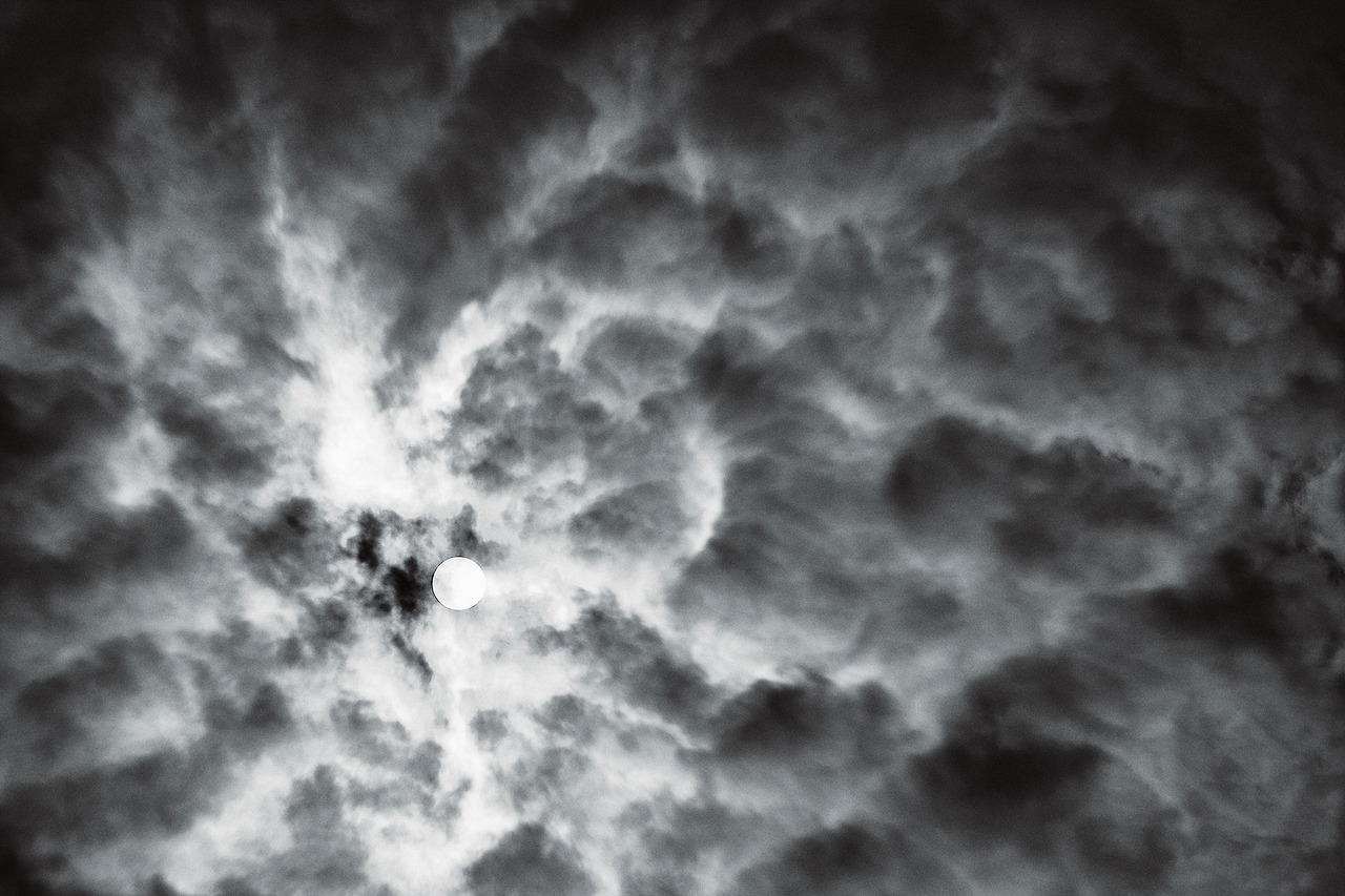 윗비 마지막날 보정_82.jpg