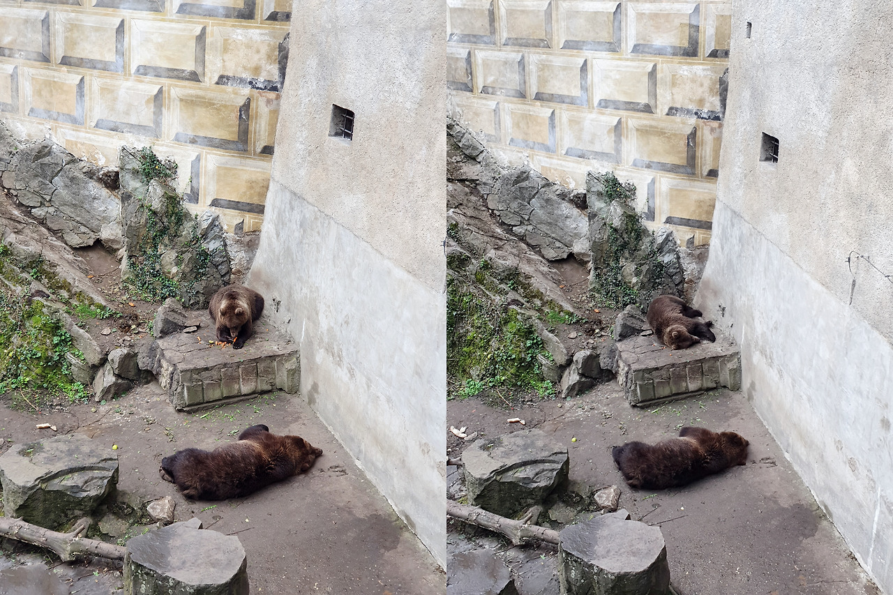 (합친거) 체스키성 곰돌이.jpg