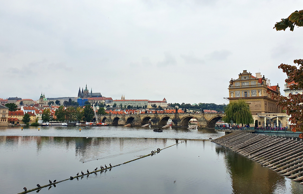 카를교 가기 전 (보정+크기조절).jpg