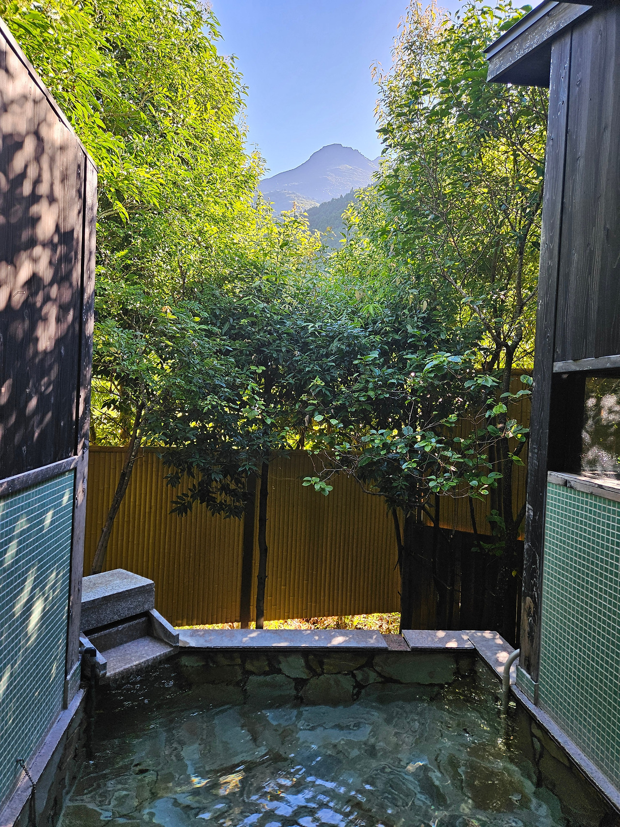 20240729_075447 (1).jpg