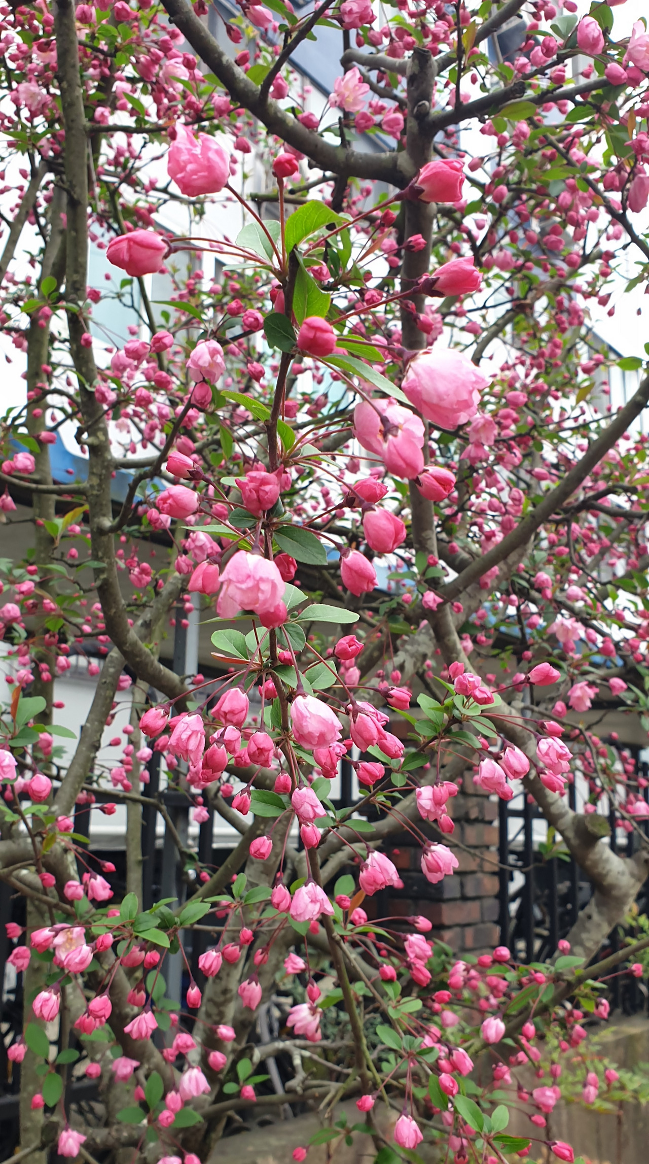 20240404_153943 (1).jpg