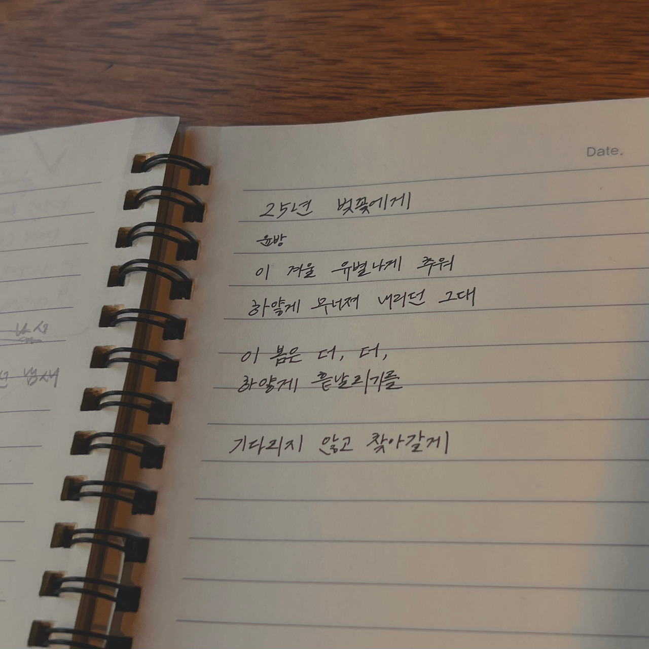 25년 벚꽃에게_시.jpg