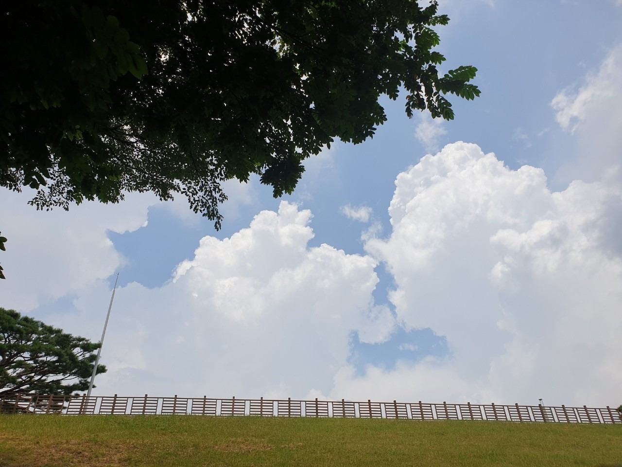 함께 걷고 싶다.jpg