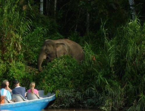 산다칸 코끼리.jpg