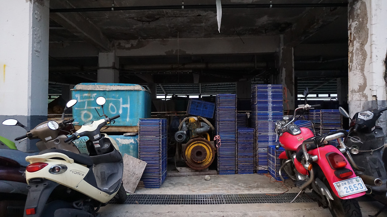 ORG_DSC05672 (1).jpg