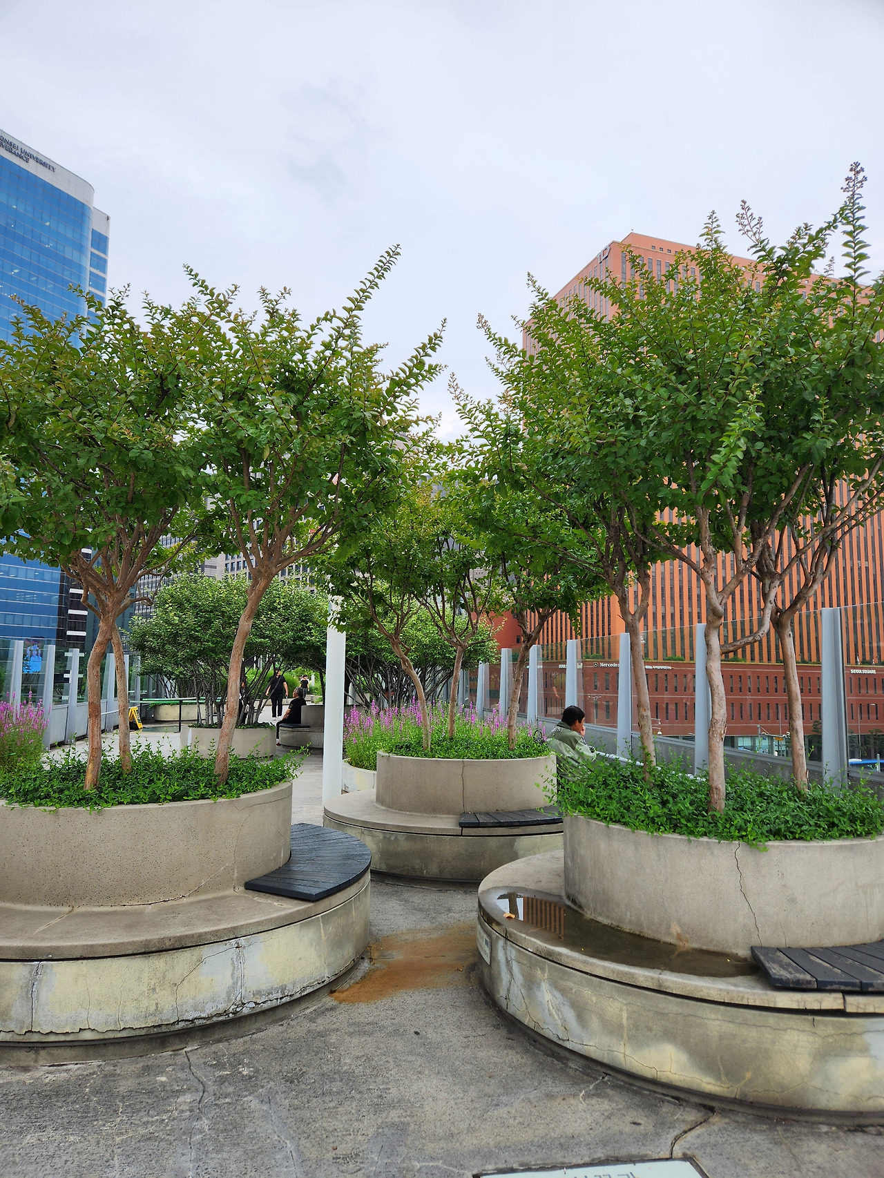 남자가 있는 풍경.jpg