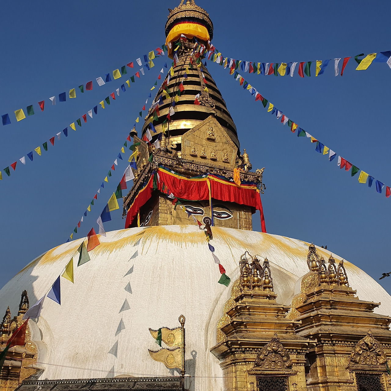 20191228_085850 (1).jpg