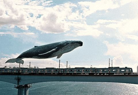 다운로드 (2).jpg