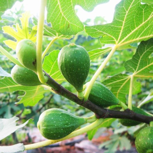 다운로드 (22).jpg