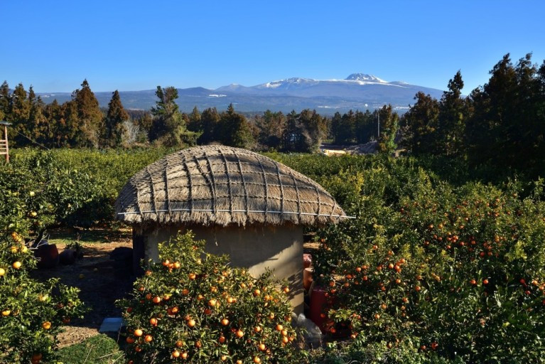 다운로드 (7).jpg