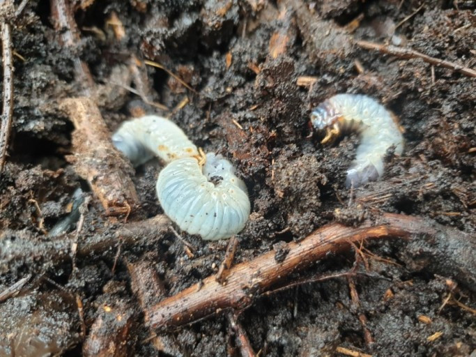 다운로드 (2).jpg