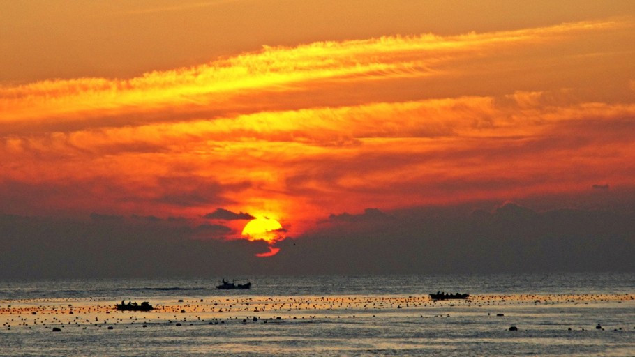 다운로드 (12).jpg