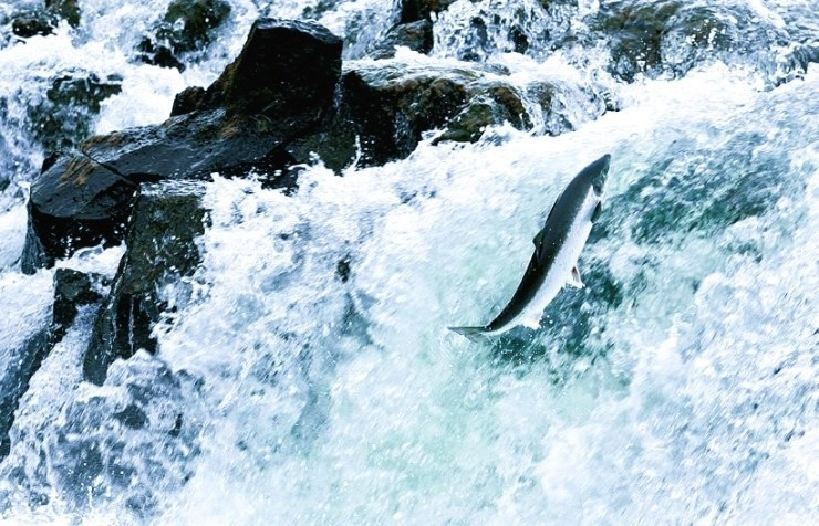 다운로드 (4).jpg