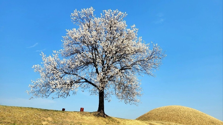 다운로드 (5).jpg