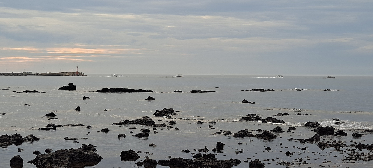 다운로드 (5).jpg