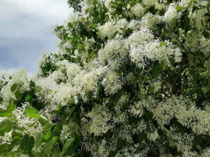 다운로드 (1).jpg