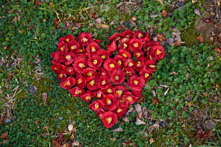 다운로드 (27).jpg