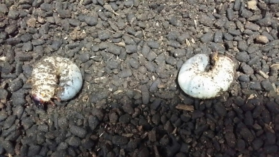 다운로드 (6).jpg