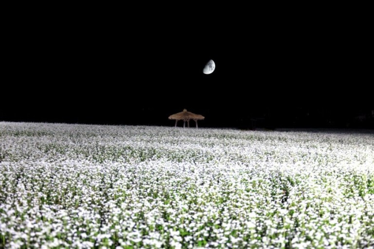 다운로드 (14).jpg