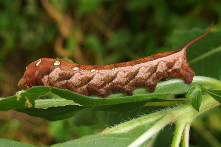 다운로드 (1).jpg