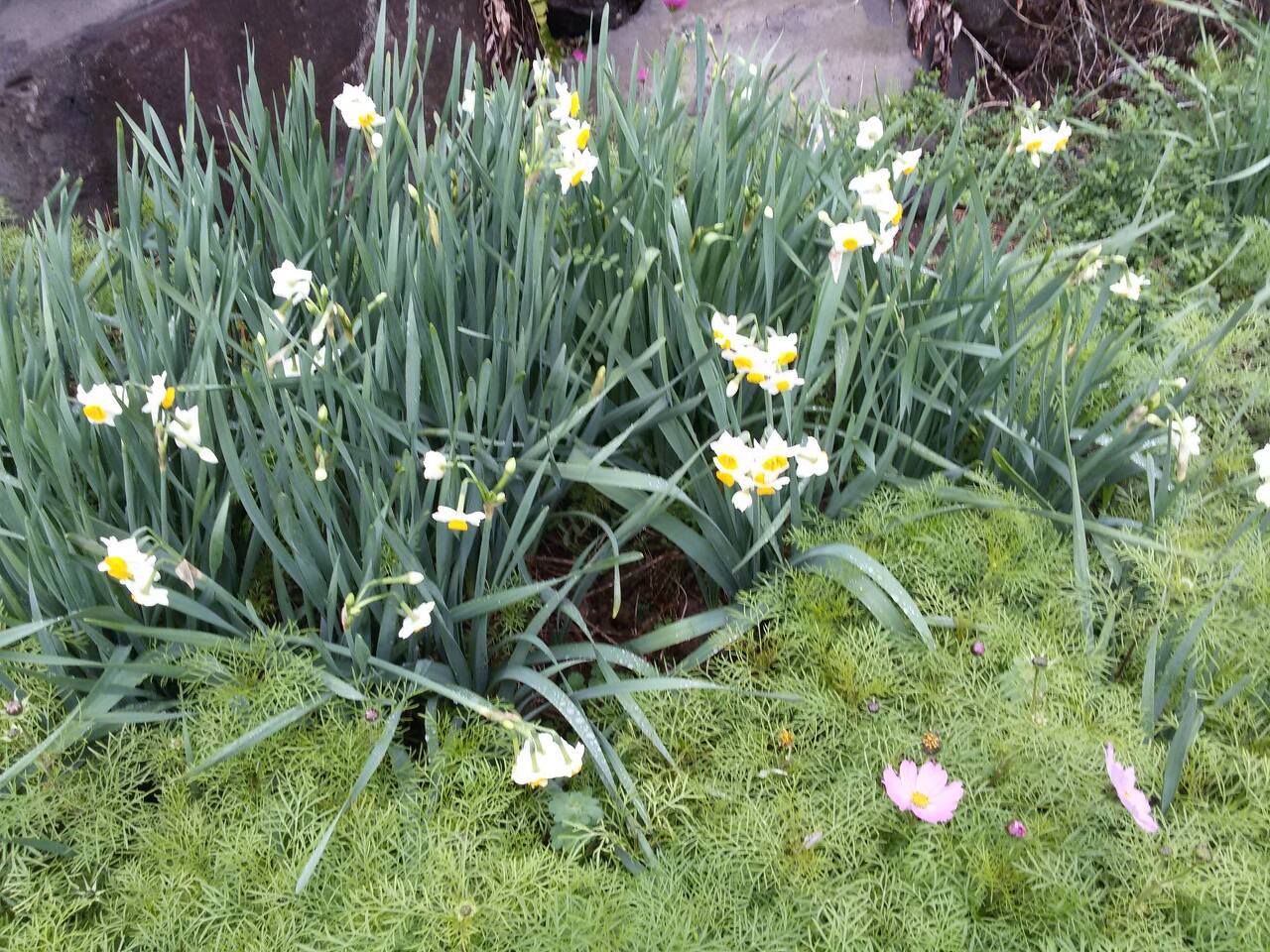 다운로드 (1).jpg