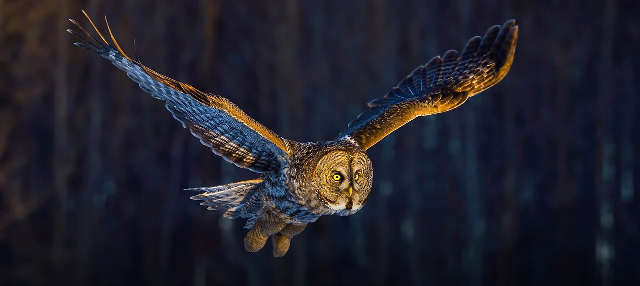 다운로드 (24).jpg