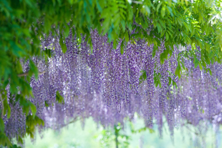 다운로드 (3).jpg