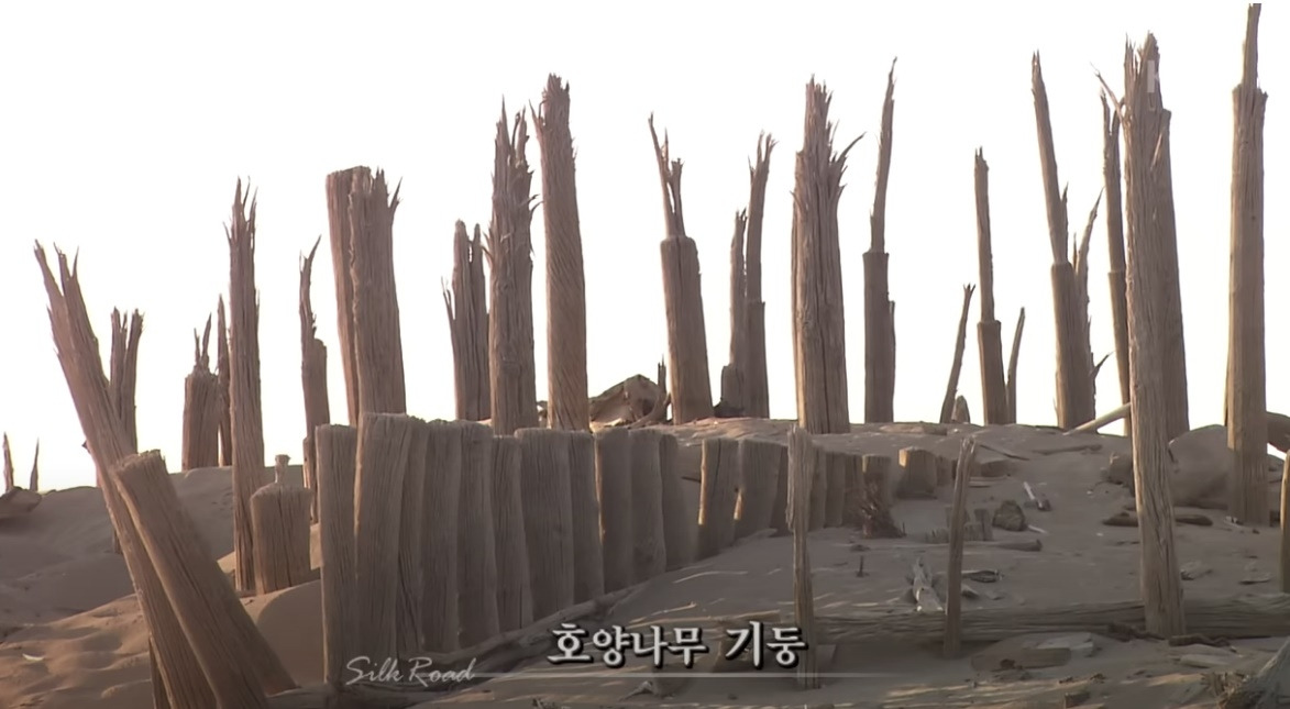 소하묘 유적 - 1.jpg