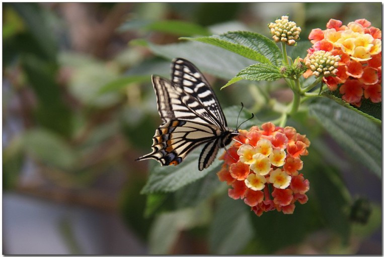 다운로드 (24).jpg