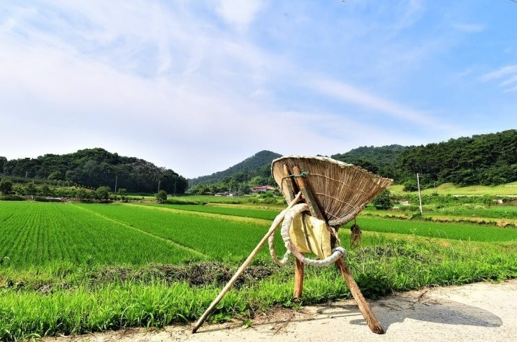 다운로드 (5).jpg