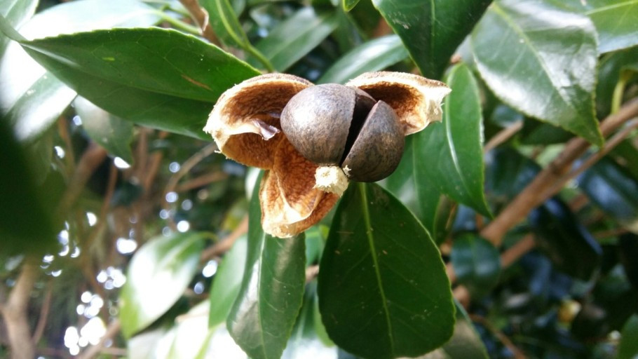 다운로드 (17).jpg