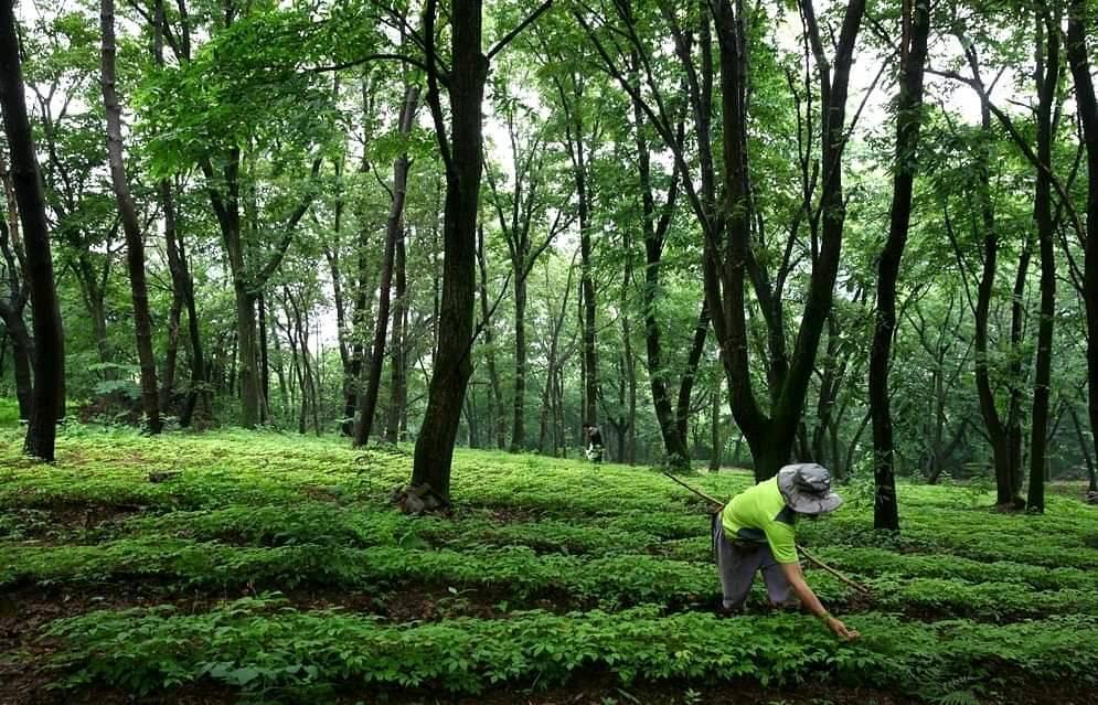 다운로드 (3).jpg