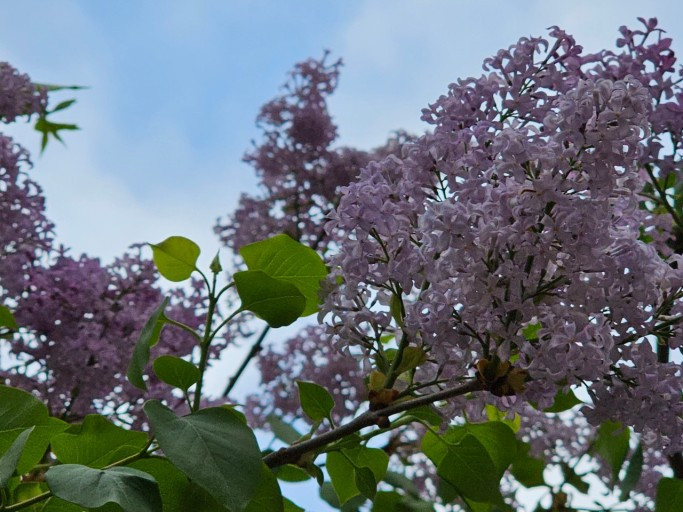 다운로드 (10).jpg