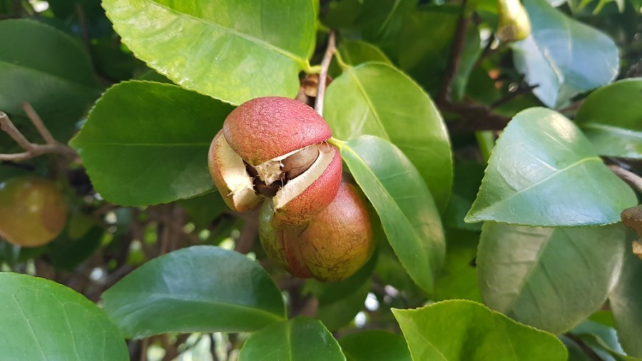 다운로드 (8).jpg