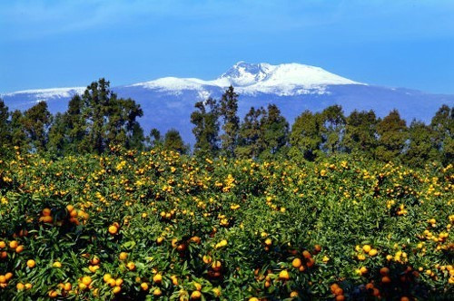 다운로드 (9).jpg