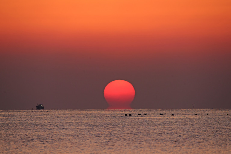 다운로드 (6).jpg